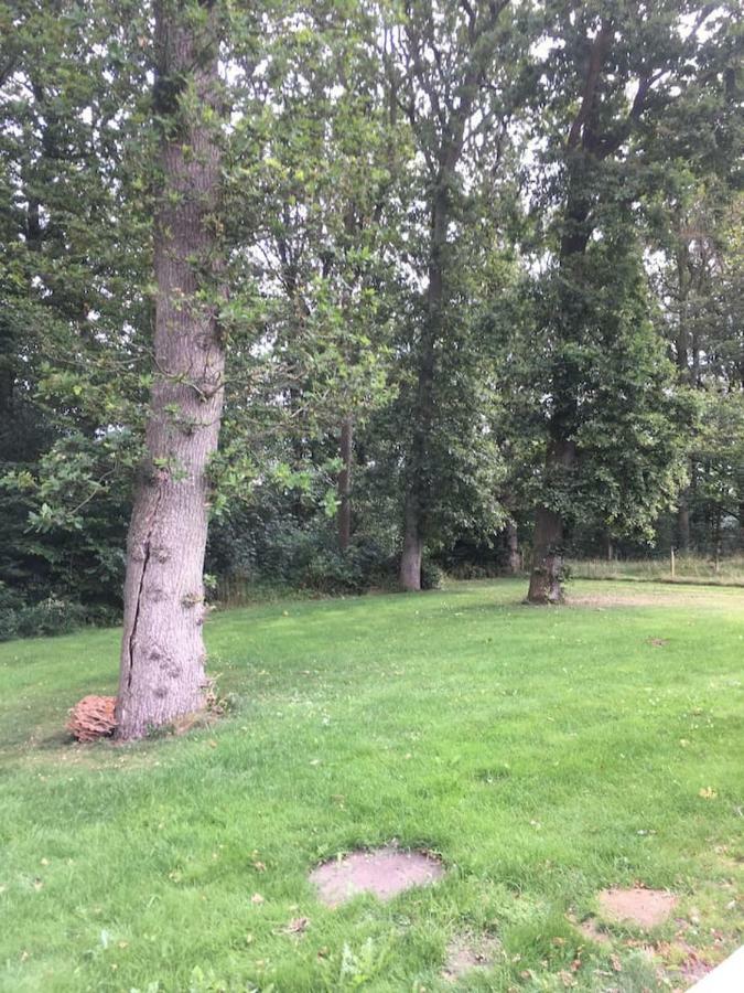 Ro I Skoven - Men Taet Pa Byen Appartement Varde Buitenkant foto